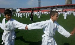 Taekwondo para crianças CAVI!!